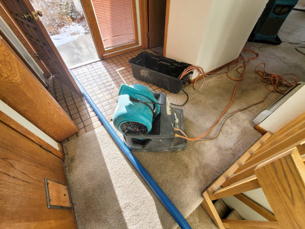 Best Mold removal after water damage  in Brookside, AL