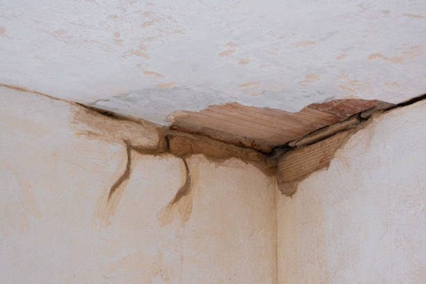 Sewage cleanup and water damage restoration in AL