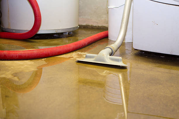Best Fire Damage Restoration  in Brookside, AL