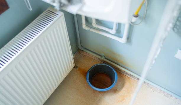 Best Water damage cleanup near me  in Brookside, AL
