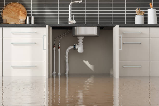Best Commercial water damage restoration  in Brookside, AL