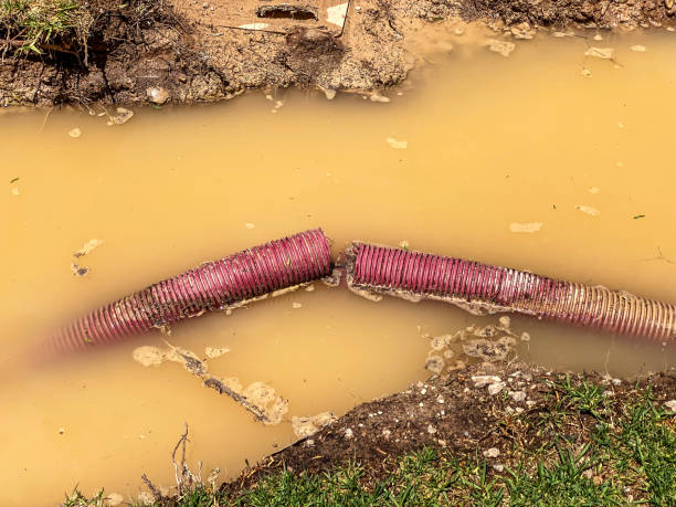Best Sewage cleanup and water damage restoration  in Brookside, AL
